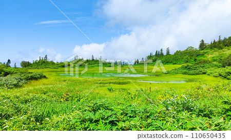 夏季攀登火內山(高谷池) 夏季攀登火內山(高谷池) 110650435