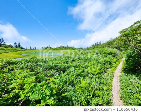夏季攀登火內山(高谷池) 夏季攀登火內山(高谷池) 110650436