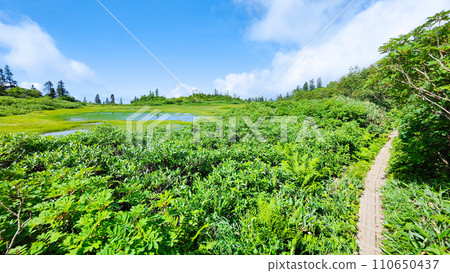 夏季攀登火內山（高谷池） 110650437