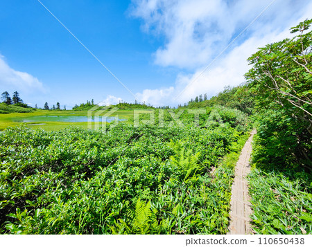 夏季攀登火內山(高谷池) 夏季攀登火內山(高谷池) 110650438