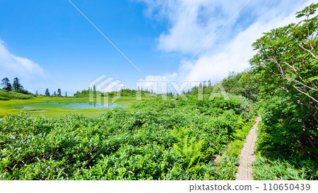 夏季攀登火內山(高谷池) 夏季攀登火內山(高谷池) 110650439