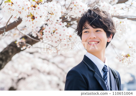 櫻花樹和新生入學和畢業新生活形象男“AI生成圖像” 櫻花樹和新生入學和畢業新生活形象男“AI生成圖像” 110651004