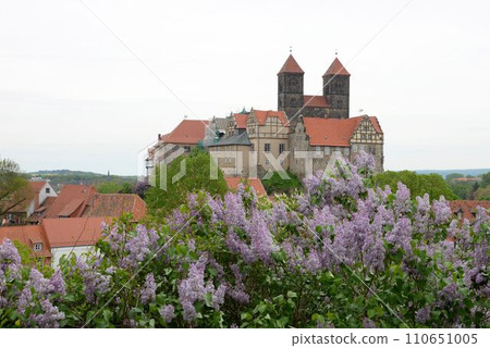 World Heritage City Quedlinburg St. Servatius Church Medieval German Scenery 110651005