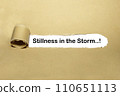 Stillness in the storm 110651113