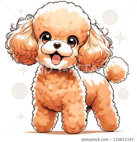 toy poodle  110651147