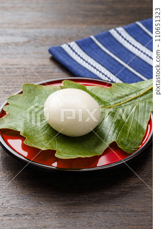 Kashiwamochi 110651323