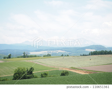 Beautiful early summer rural scenery in Biei Beautiful early summer rural scenery in Biei 110651361