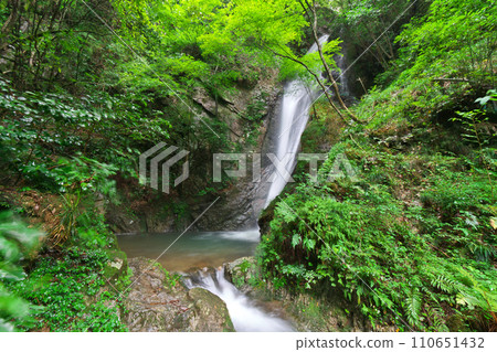 岐阜縣川邊町南天瀑布 110651432