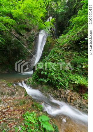 岐阜縣川邊町南天瀑布 110651433