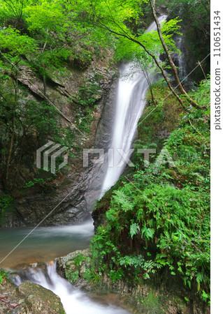 岐阜縣川邊町南天瀑布 110651434