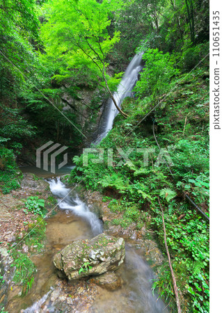 岐阜縣川邊町南天瀑布 110651435
