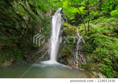 岐阜縣川邊町南天瀑布 110651436