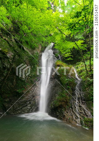 岐阜縣川邊町南天瀑布 110651437