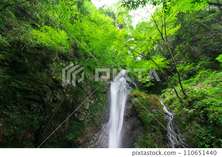 岐阜縣川邊町南天瀑布 110651440