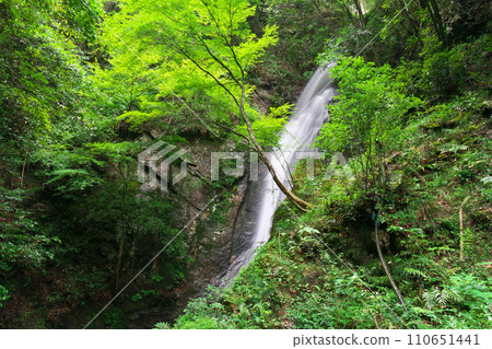 岐阜縣川邊町南天瀑布 110651441