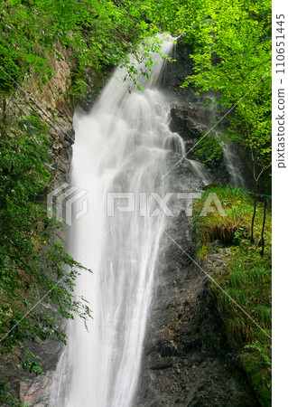 岐阜縣川邊町南天瀑布 岐阜縣川邊町南天瀑布 110651445