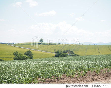 Beautiful early summer rural scenery in Biei 110651552