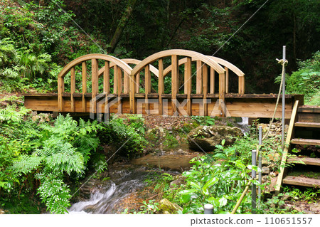 岐阜縣川邊町通往南天瀑布的橋樑 110651557