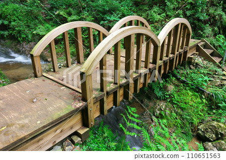 岐阜縣川邊町通往南天瀑布的橋樑 110651563