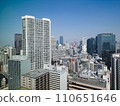Sunny day in Tokyo 110651646