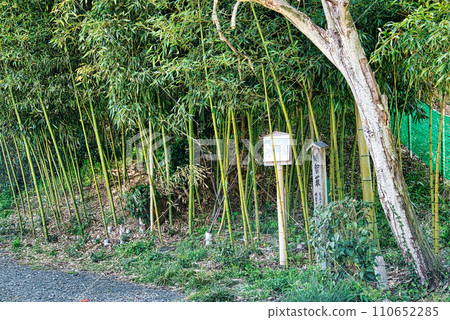 Akechi Yabu, the place where Mitsuhide Akechi ended his life 110652285