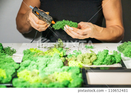 Close-up of woman hands gluing stabilized moss. Process of working with decorative reindeer moss. Concept of modern eco style interior. Close-up of woman hands gluing stabilized moss. Process of working with decorative reindeer moss. Concept of modern eco style interior. 110652481