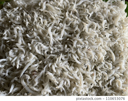 Boiled whitebait: Fresh small fish seafood Boiled whitebait: Fresh small fish seafood 110653076