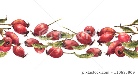 Branch of wild rosehips with red briar fruits, dog rose green leaves. Seamless border, pattern Hand drawn watercolor illustration for label, wallpaper, wrapping paper, fabric Isolated white background 110653909