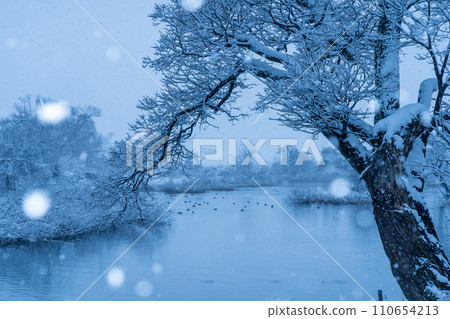 Photographing the mouth of Harie Ogawa River, Shinasahi-cho, Takashima City, Shiga Prefecture, covered with snow. Photographing the mouth of Harie Ogawa River, Shinasahi-cho, Takashima City, Shiga Prefecture, covered with snow. 110654213