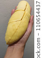 Closeup lady hand holding yellowish organic riped durian isolated on grey background, Southeast asia tropical smell fruit 110654437