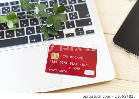 Credit card online shopping Credit card online shopping 110654823