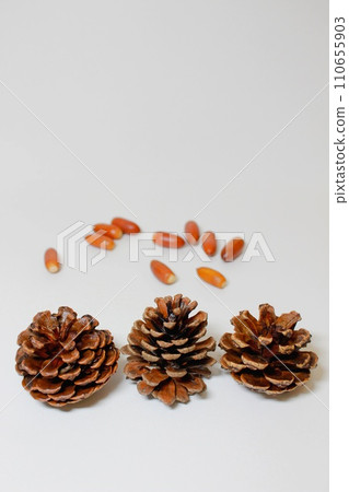 Pine cones and acorn 110655903
