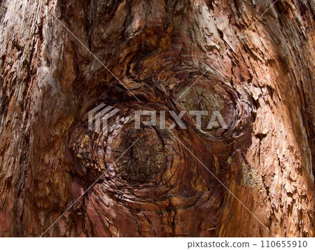 Old wood cracked tree texture Old wood cracked tree texture 110655910