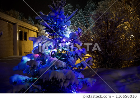 christmas tree with lights outside at night christmas tree with lights outside at night 110656010