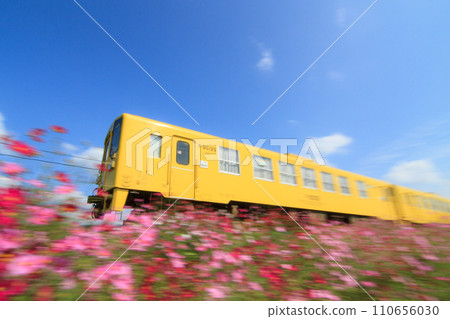 Kiha 125 type diesel train running on the Kyudai Main Line where cosmos blooms Kiha 125 type diesel train running on the Kyudai Main Line where cosmos blooms 110656030