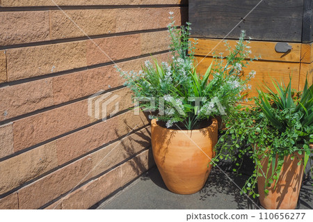 Wood deck Wood deck 110656277