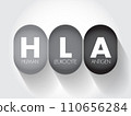 HLA Human Leukocyte Antigen - complex of genes on chromosome 6 in humans which encode cell-surface proteins, acronym text concept background 110656284