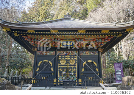 Yuzen 110656362
