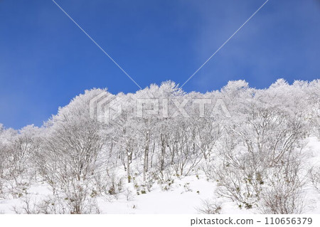 奈科馬山 110656379