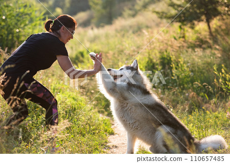 Pretty woman doing give paw trick with alaskan malamute on nature Pretty woman doing give paw trick with alaskan malamute on nature 110657485