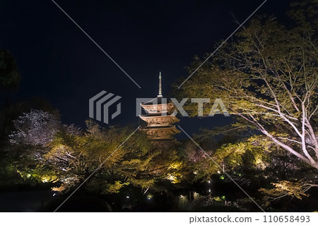 Kyoto, illuminated night cherry blossoms at To-ji Temple Kyoto, illuminated night cherry blossoms at To-ji Temple 110658493