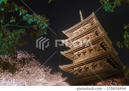 Kyoto, illuminated night cherry blossoms at To-ji Temple Kyoto, illuminated night cherry blossoms at To-ji Temple 110658494