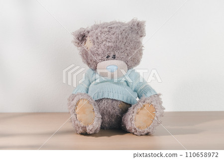 Teddy bear Teddy bear 110658972