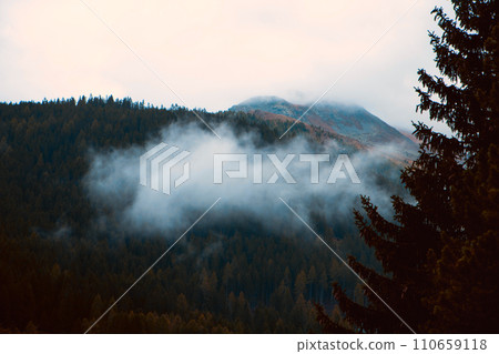 Veiled in Mist: Dawn's Reveals a Mountain's Splendor Beyond the Whispering Pines Veiled in Mist: Dawn's Reveals a Mountain's Splendor Beyond the Whispering Pines 110659118