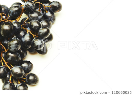 A bunch of ripe black grapes. Making wine, juices. Dessert A bunch of ripe black grapes. Making wine, juices. Dessert 110660025