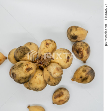 Wollongong fruit on white background with copy space for text. Langsat fruit Wollongong fruit on white background with copy space for text. Langsat fruit 110660274