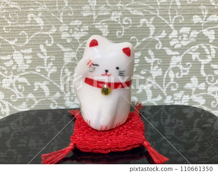 Uninvited cat (white) 110661350