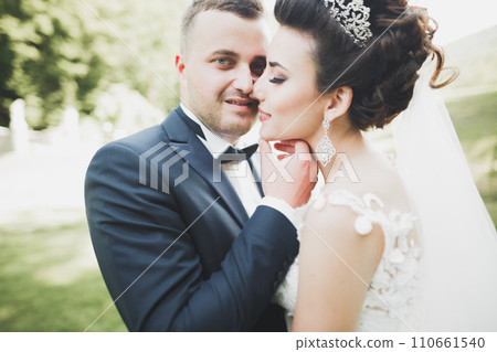 Romantic, fairytale, happy newlywed couple hugging and kissing in a park, trees in background Romantic, fairytale, happy newlywed couple hugging and kissing in a park, trees in background 110661540
