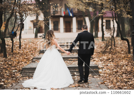 Happy wedding couple walking in a botanical park 110661602