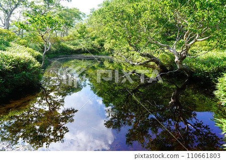 石駱山的蚊蟲沼澤 110661803